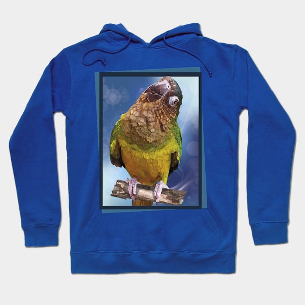 The brown-throated parakeet Hoodie by obscurite